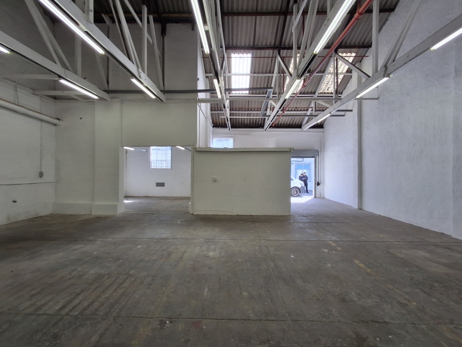 To Let Commercial Property for Rent in Arcadia Eastern Cape